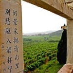 Chinese Wine Lovers Taking an Interest in France 