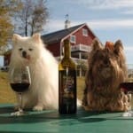 Her Shot: Wine Dogs