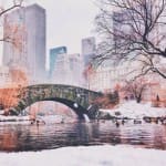The Ultimate Guide Of Everything You Need To Do In NYC This Winter