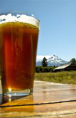 will-travel-for-beer