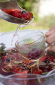 sangria