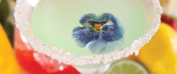 Floral cocktails