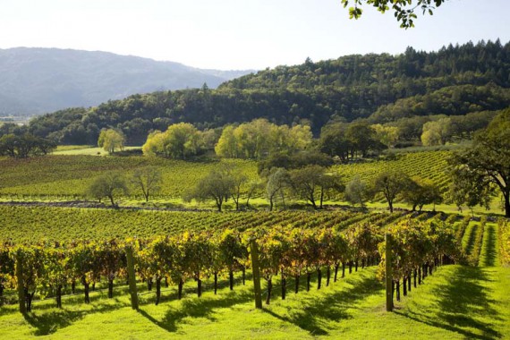 Joseph Phelps Vineyards