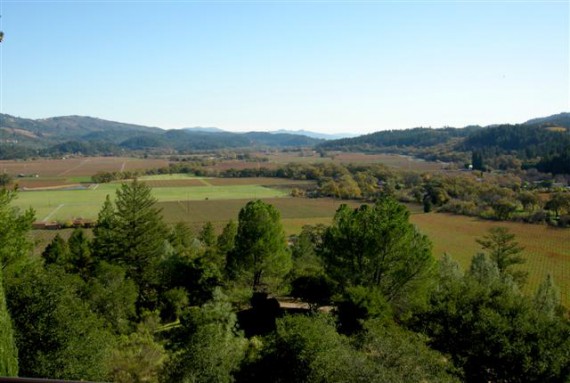 SterlingVineyards