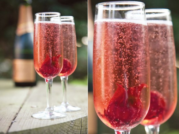 Hibiscus Cocktail
