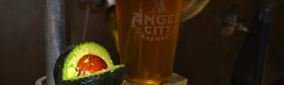 Avocado beer