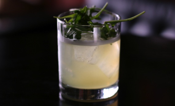 Arugula cocktail