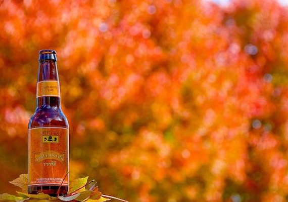 FallBeer