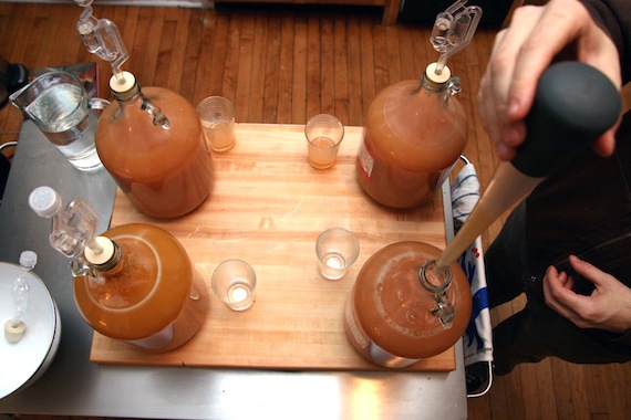 make your own hard cider