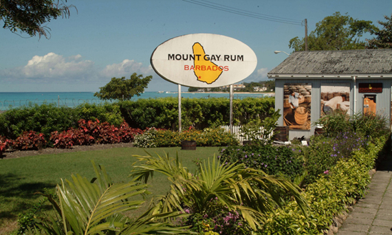 caribbean rum distillery tours