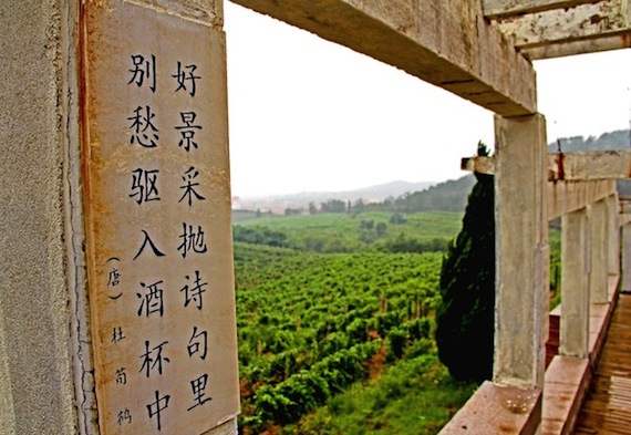 Chinese wine: The Huadong Parry Winery sits on China's east coast in the "Nava Valley."