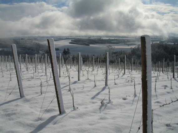 Snowy-Vineyard-in-Oregon-Wine-Country_fitbox_625x1200