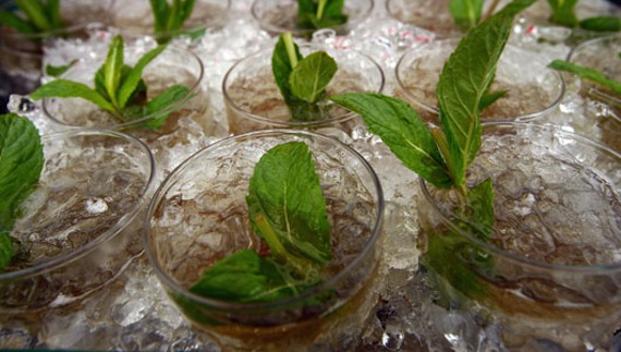 MintJulep