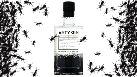 AntyGin