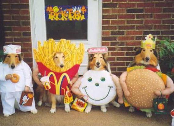 dog-halloween-costumes