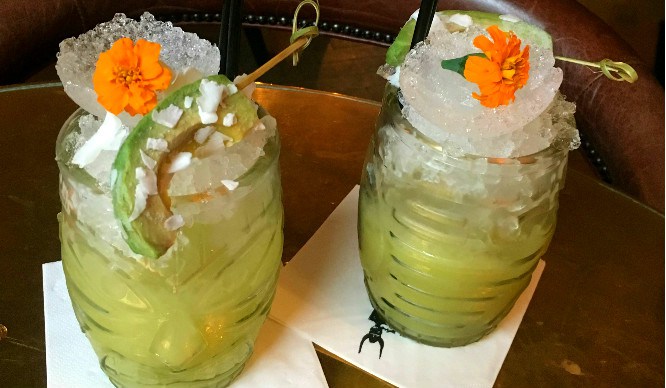 avocado-cocktails-harcourt
